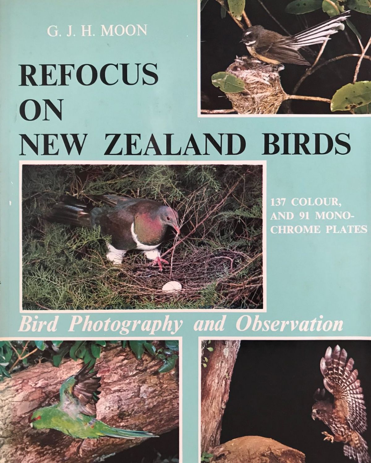REFOCUS ON NEW ZEALAND BIRDS: Bird Photography and Observation