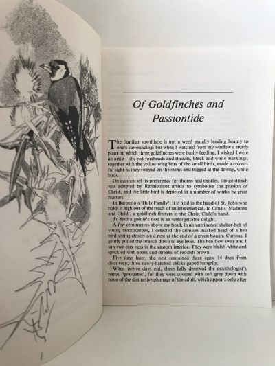 ENCOUNTERS WITH BIRDS: Birdwatching In New Zealand