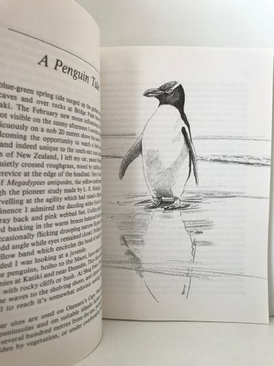 ENCOUNTERS WITH BIRDS: Birdwatching In New Zealand