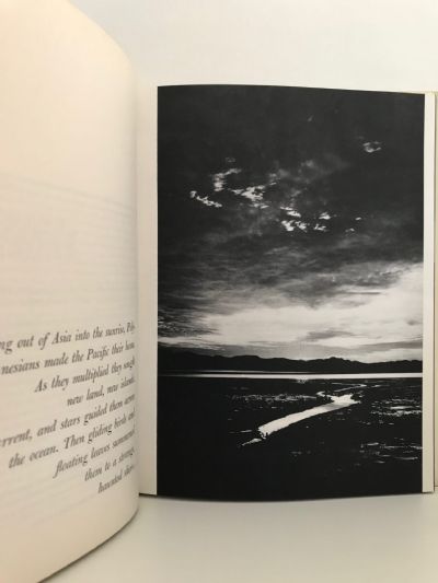 NEW ZEALAND: Gift of the Sea