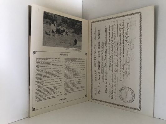 WAINUIOMATA: These Passing Years - A Pictorial and Social History