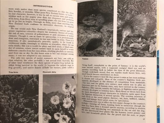 THE SHELL GUIDE TO NEW ZEALAND