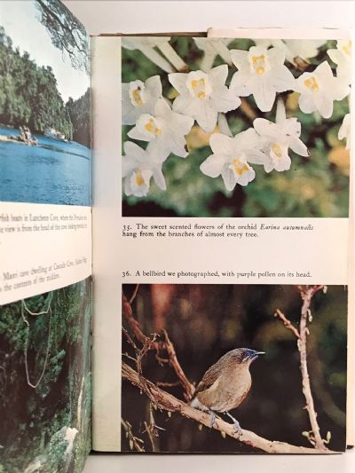 DUSKY BAY: In the Steps of Captain Cook