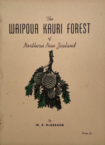 THE WAIPOUA KAURI FOREST of Northern New Zealand -  The Last Virgin Kauri Forest of New Zealand 