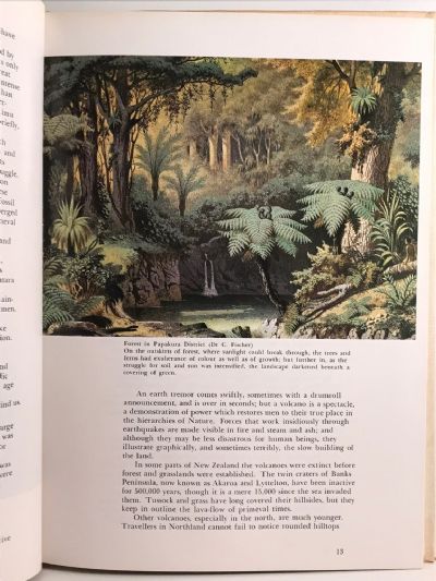 THE SHAPING OF NEW ZEALAND