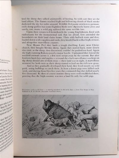 THE WILD PIG IN NEW ZEALAND