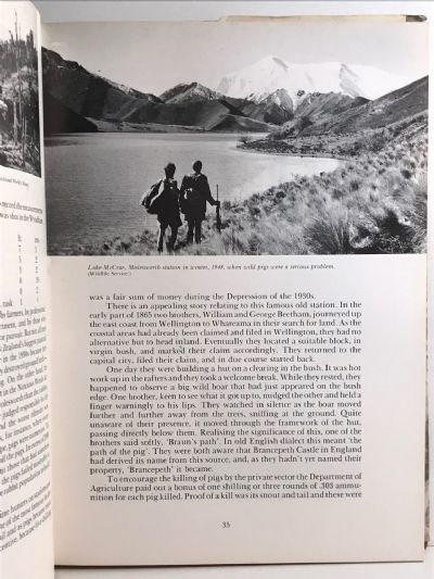 THE WILD PIG IN NEW ZEALAND