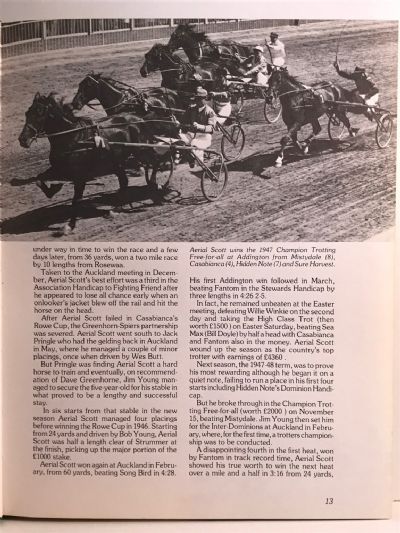 UNHOPPLED HEROES: Great New Zealand trotters