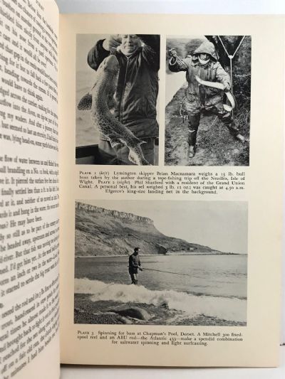ALL ABOUT ANGLING