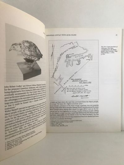 QUAIL ISLAND: A Link With The Past