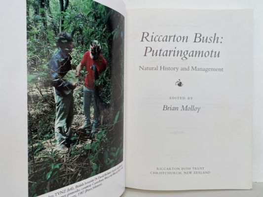 RICCARTON BUSH: Putaringamotu
