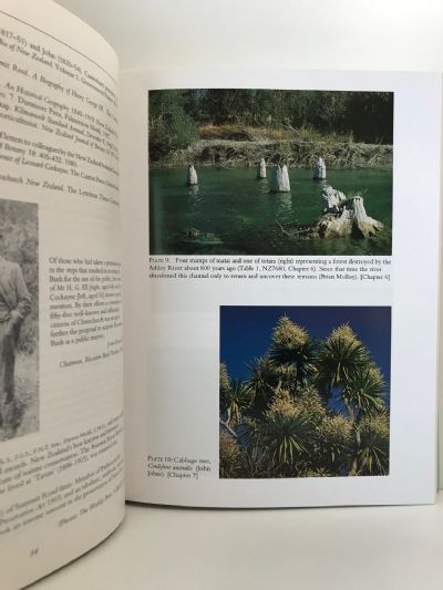 RICCARTON BUSH: Putaringamotu