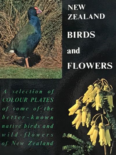 NEW ZEALAND BIRDS AND FLOWERS 
