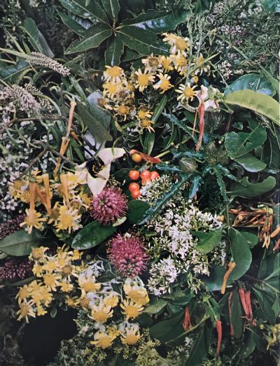 NEW ZEALAND BIRDS AND FLOWERS