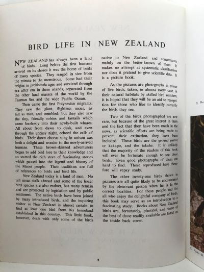 NEW ZEALAND BIRDS AND FLOWERS