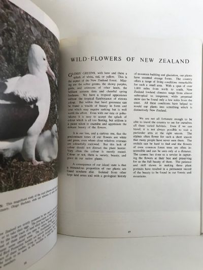 NEW ZEALAND BIRDS AND FLOWERS
