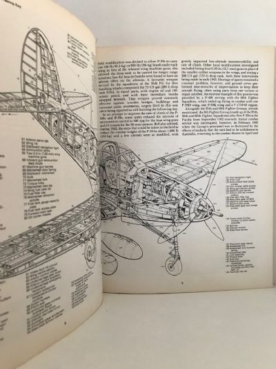 US ARMY AIR FORCE FIGHTERS: Part 1