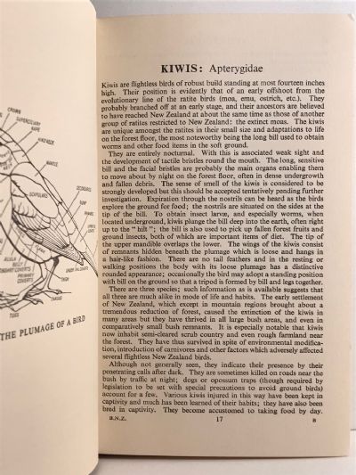 A FIELD GUIDE TO THE BIRDS OF NEW ZEALAND