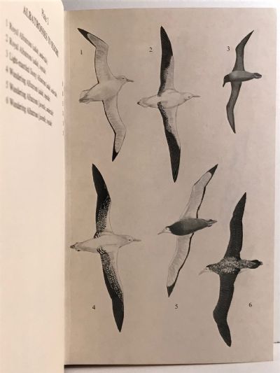 A FIELD GUIDE TO THE BIRDS OF NEW ZEALAND
