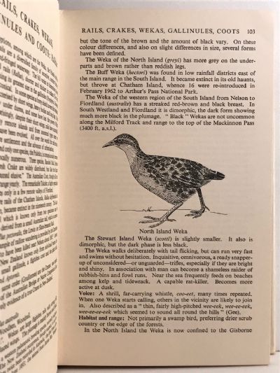 A FIELD GUIDE TO THE BIRDS OF NEW ZEALAND