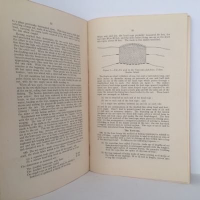 Report on the Fisheries of Fiji 