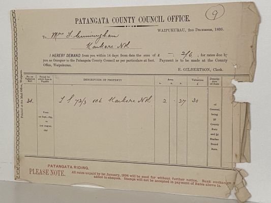 ANTIQUE RATES DEMAND: Patangata County Council Office, Waipukurau 1895