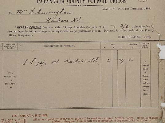 ANTIQUE RATES DEMAND: Patangata County Council Office, Waipukurau 1895 