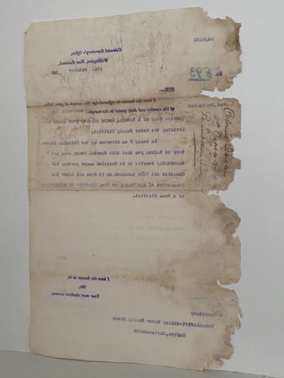 ANTIQUE LETTERHEAD: Colonial Secretarys Office, Wellington 1894