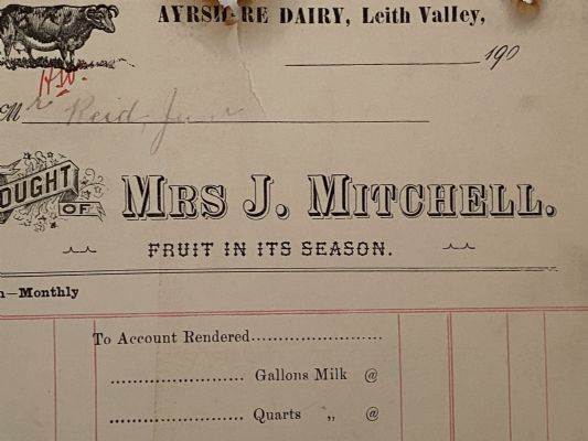 ANTIQUE INVOICE: Mrs J. Mitchell - Ayrshire Dairy, Leith Valley 1901 
