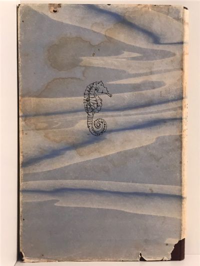 KAPITI DIARY