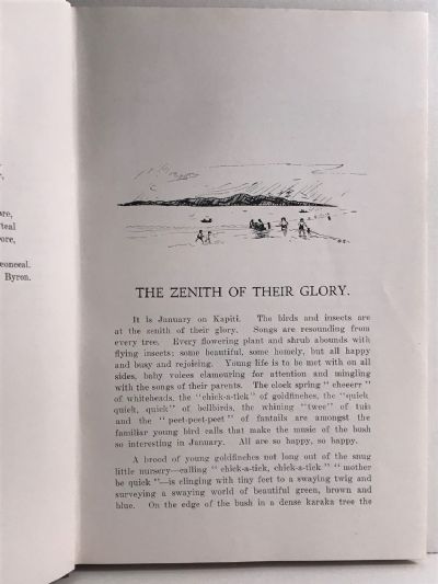 KAPITI DIARY