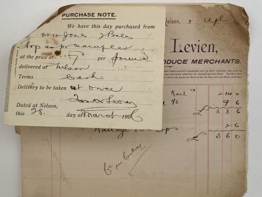 ANTIQUE INVOICE / RECEIPTS: Tasker & Levien, Nelson – Grain, Seed & Produce 1906