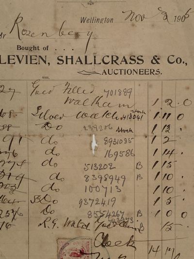 ANTIQUE INVOICE: Levien, Shallcrass & Co, Wellington - Auctioneers 1905 