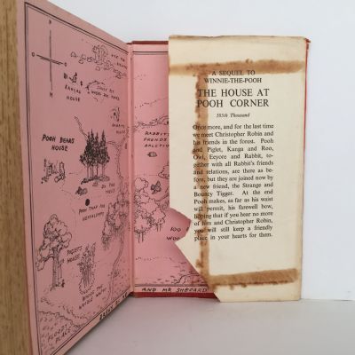 Winnie the Pooh