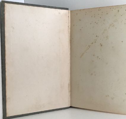 PLANT LIFE IN MAORILAND: A Botanist's Note Book
