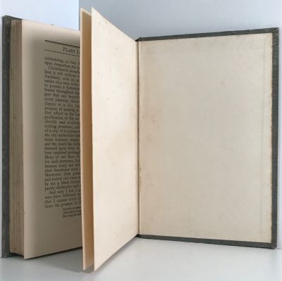 PLANT LIFE IN MAORILAND: A Botanist's Note Book