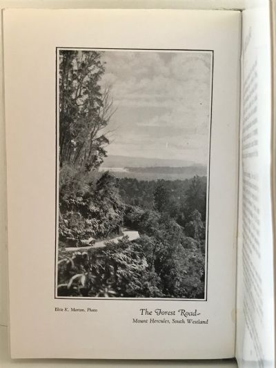 JOY OF THE ROAD: Second Book of New Zealand Life and Travel