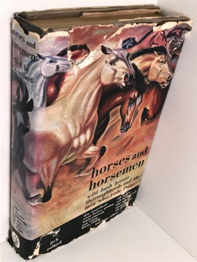 HORSES AND HORSEMEN: Wild Bush Horses, Thoroughbreds and the men who rode them