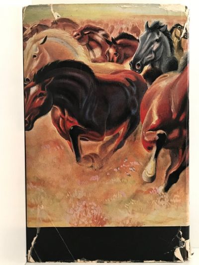 HORSES AND HORSEMEN: Wild Bush Horses, Thoroughbreds and the men who rode them