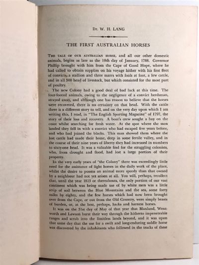HORSES AND HORSEMEN: Wild Bush Horses, Thoroughbreds and the men who rode them