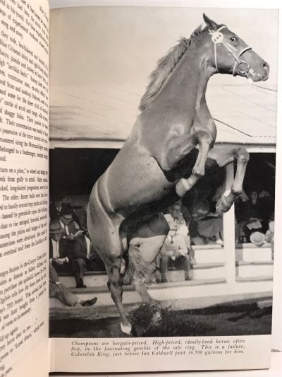 HORSES AND HORSEMEN: Wild Bush Horses, Thoroughbreds and the men who rode them