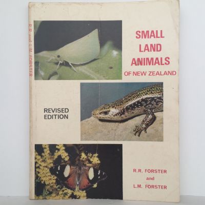 Small Land Animals of New Zealand