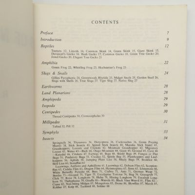 Small Land Animals of New Zealand