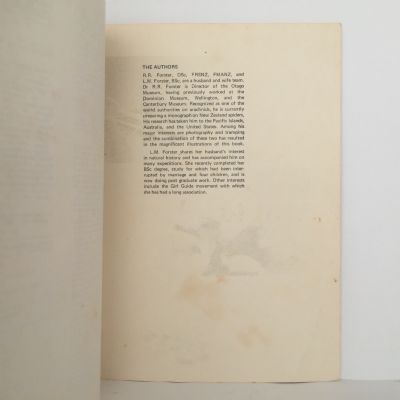 Small Land Animals of New Zealand