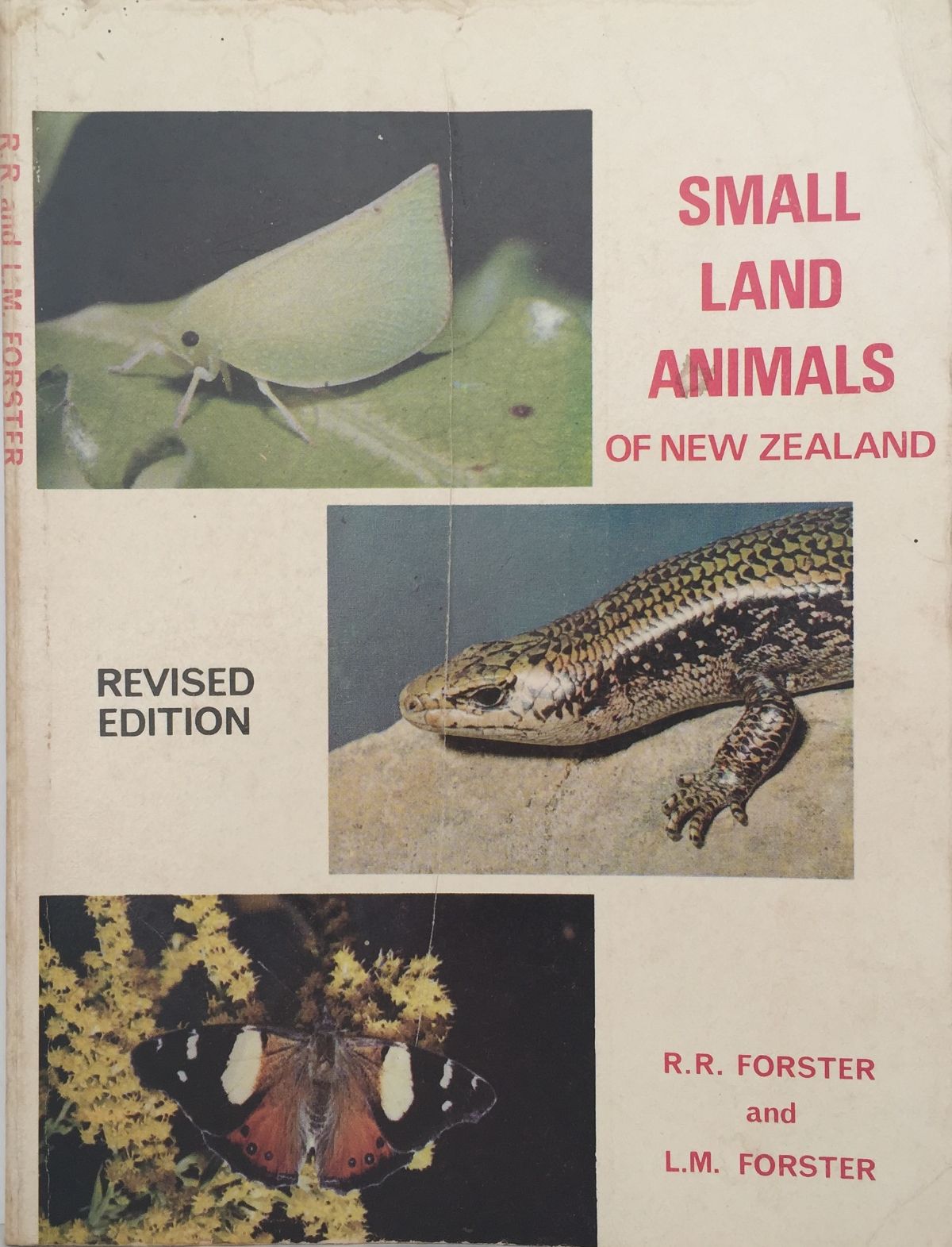 Small Land Animals of New Zealand