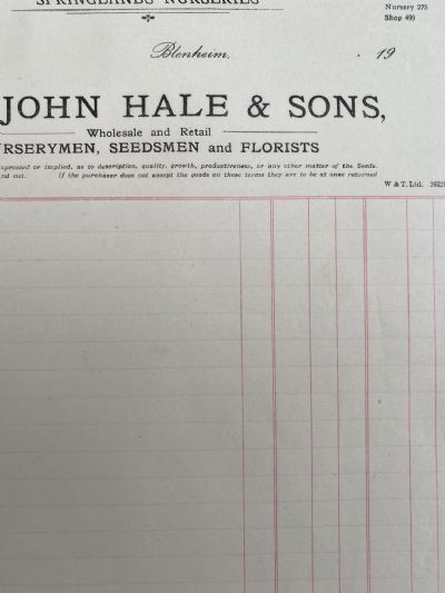ANTIQUE INVOICE: John Hale & Sons, Blenheim 