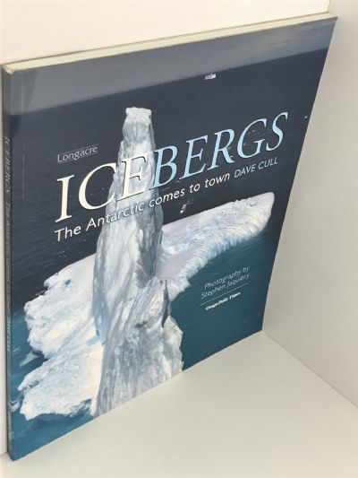 ICEBERGS: The Antarctic Comes to town