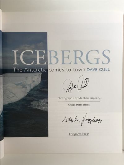 ICEBERGS: The Antarctic Comes to town