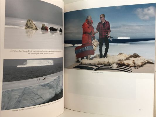 ICEBERGS: The Antarctic Comes to town