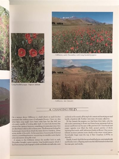 WILDFLOWERS OF CENTRAL OTAGO